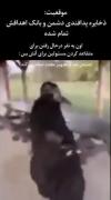 مجموعه ادیت ایران................