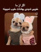 اره دیگه حتما چشمات عیب داره سیسی
