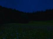 آرامش خاصی داره🌱‌‌‌‌‌‌‌‌‌‌‌‌‌‌‌