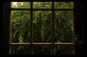 ☘️🌧‌‌‌‌‌‌‌‌‌‌‌‌‌‌‌‌‌‌‌‌‌‌‌‌‌‌‌‌