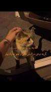 🐈☘️‌‌‌‌‌‌‌‌‌‌‌‌‌‌‌‌‌‌‌‌‌‌‌‌‌‌‌