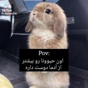 ☘️‌‌‌‌‌‌‌‌‌‌‌‌‌‌‌‌‌‌‌‌‌‌‌‌‌‌‌‌‌