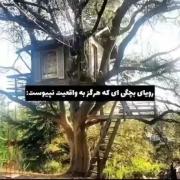 رویای بچگیم که هیچوقت واقعی نشد: