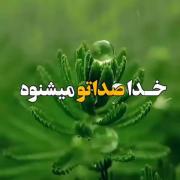 خدا تو همیشه کنارت هست فقط کافیه وارد زندگیت کنی