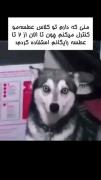 .‌ .‌‌.‌‌.‌‌.‌‌.‌‌.‌‌.‌‌.‌‌.‌😂