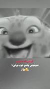 تمام زندگی همینه..............