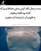 عامل خشکسالی باشدددد؟🤡✨️‌ ‌ ‌ ‌ ‌ ‌ ‌