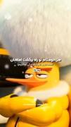 من و دوستام تو راه برگشت از امتحان