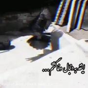 وفایی ندیدم که کفتر باز شدم بی بی😮‍💨🖤🕊🦅