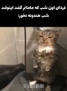 درد و نفرین.. درد و نفرین 🩴🩴🩴🩴🩴