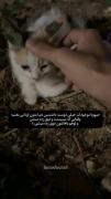 چه قد خوب که حیوانات تو زندگیمون هستن🥲