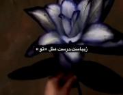 زیباست مانند زیبایی تو:)))))).