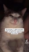 اره سیسی من خاستم بخرم🤣🤣. . 