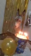 تولدت مبارک رفیق خر من🥳🥳🥳🥳🥳