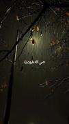 میگردم دنبال تو / دنبال نور فانوس شب