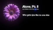 /// ALONE /// ALONE /// ALONE ///