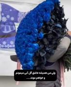 عاشقتممممم گلللل ابییییییی:)..