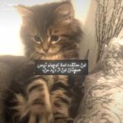 همچنان اون از دید من......... 🫂 ..... 