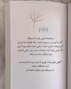 حق به روایت تصویر...........‌‌‌‌‌