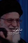 آقا گفتم میخوام بیام دیدار رهبری ولی.....
