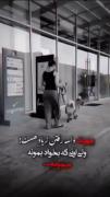 فالو یادتون نره قشنگای من😘🧡💛