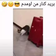 برید کنار من امدم🤣😂😆😲....... 