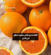 😂😂😂😂منظورمو فهمیدید 😂😂😂😂😂