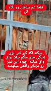 لذت بردن ازرانندگی توبارون باطبیعت لذت بخش
