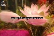 حافظه من :