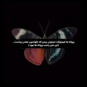 اره خوشگلمممم این جوریاستت👀🕴