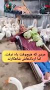 هیچ مانعی آنقدر بزرگ نیست که‌با اراده وتلاش نتوان از آن‌عبور کرد