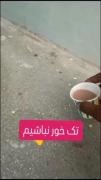 مورچه‌ها رو ببینیم و از اون‌ها یاد بگیریم خواهشا تک‌خور نباشیم..!👋