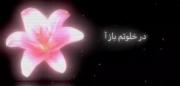 ـــــــــــــــــــــــــــــــ