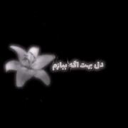 Video🐈‍⬛💤🎀..................