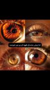 چشمانش قهوه ای بودند و به حق فهمیدم قهوه از سیگار و قلیان اعتیاد آور