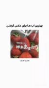 « بهترین اپ ها برای عکاسی 📸 »