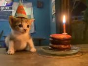 Happy birthday "r" hahaaa✨️💞‌‌‌‌