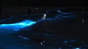 🐋🌊‌ ‌ ‌ ‌‌ ‌ ‌ ‌ ‌ ‌ ‌‌ ‌ ‌ ‌ ‌ ‌ ‌ ‌‌ ‌ ‌ ‌ ‌ ‌ ‌‌ ‌