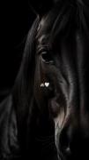 بهترین favorite من تا ابد 🐴❤️‍🩹🫠