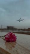 خدای دیگه :)❤️✨.................