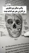 ایده راحت تر کشیدن چهره ‌‌‌‌‌‌