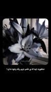 منظورت چیه که بی نقص ترین رنگ وجود نداره ...! 