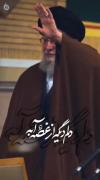 باور کنم که رهبرم کم شده سایه اش از سرم ؟ 💔🥀
