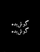 این است و ولا غیر، قدش نمی رسد سیدعلی را رصد کند !😏