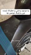 یه حیوون خطرناک وترسناک توی پارکینگ هستش😰