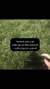 ★↝⊹ ָ࣪ ˖پست حق به توان ۱۰۰۰۰۰۰۰۰ ˖ ֗ ִ↜🍚