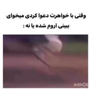 وقتی با(خواهر. برادرت) دعوات شده🤣🤣