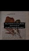 دست کَمش نگیر ᯏ 🐈‍⬛ • - ִֶָ