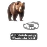 حواست باشهههههه گوگولییی.......