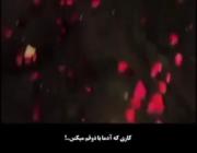 جوری که ذوقمو کور میکنن...‌‌‌‌‌‌‌